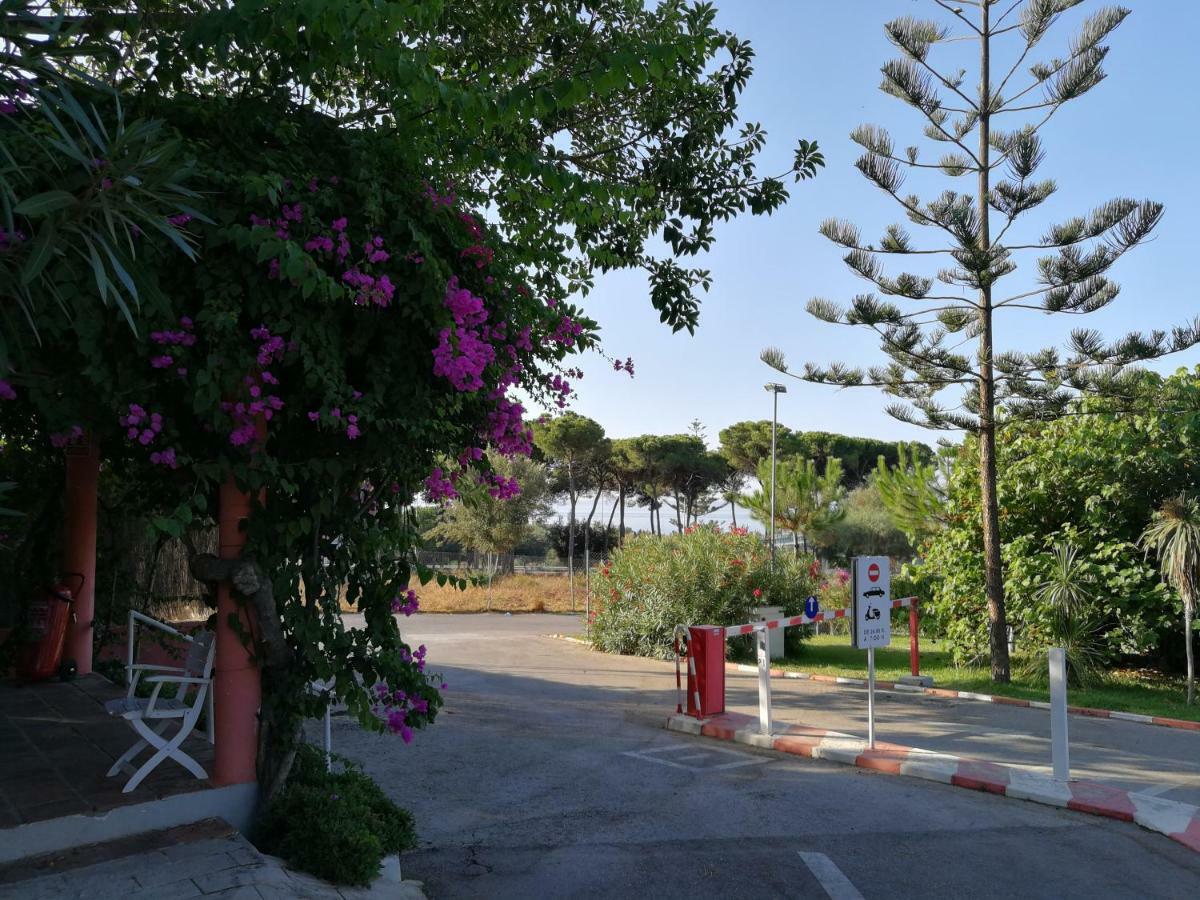 Camping La Buganvilla Marbella