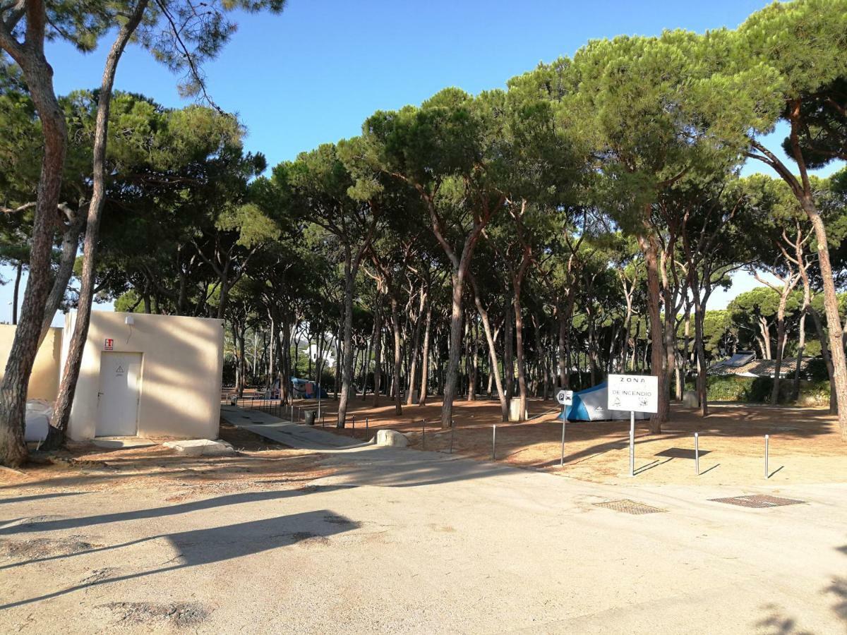 Camping La Buganvilla